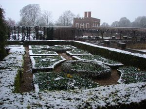 Snow in the garden