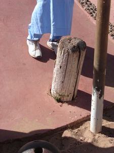 The freedom flag pole (or what's left of it).  If a slave could swim from James Island to Albreda & touch the flag pole they would be free.  Nobody ever managed it. 