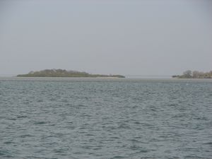 James Island in the distance