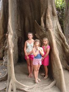 At the foot of a HUGE tree