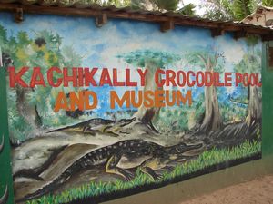 Kachikally Crocodile Pool & Museum